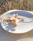 Set of 4 Ceramic Dinner Plates 27cm – Cream Matt with Embossed Texture