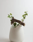 Handmade Porcelain Vase with Wooden Detail – White Smooth Surface (15×20 cm.)