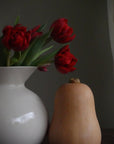 Porcelain Decorative Vase - White