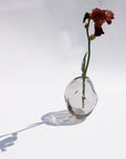 Handmade blown glass vase – Clear (22–32 × 20 cm)